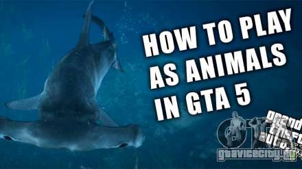 Как превратиться в животное в GTA 5? Стать животным очень просто!