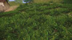 New grass для GTA San Andreas