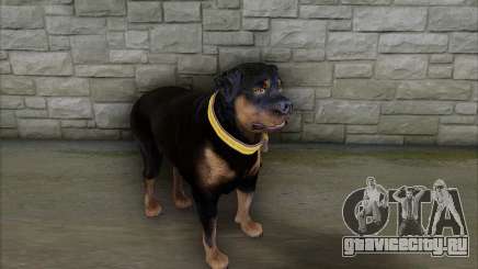 Rottweiler from GTA 5 для GTA San Andreas