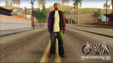 Plen Park Prims Skin 1 для GTA San Andreas