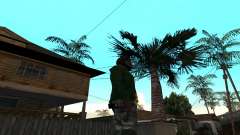 Новый Коктейль Молотова для GTA San Andreas
