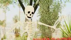 Skeleton для GTA San Andreas