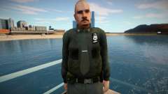 Sfpd1 для GTA San Andreas