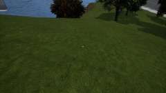 Grass Remove (убирает траву для повышения FPS) для GTA 3 Definitive Edition