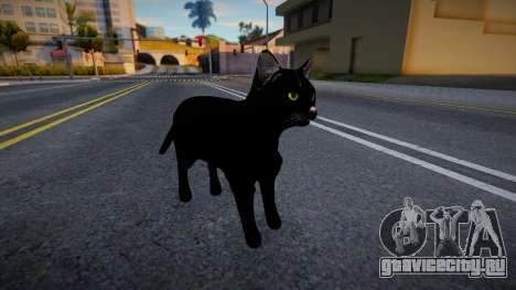 Черный кот для GTA San Andreas