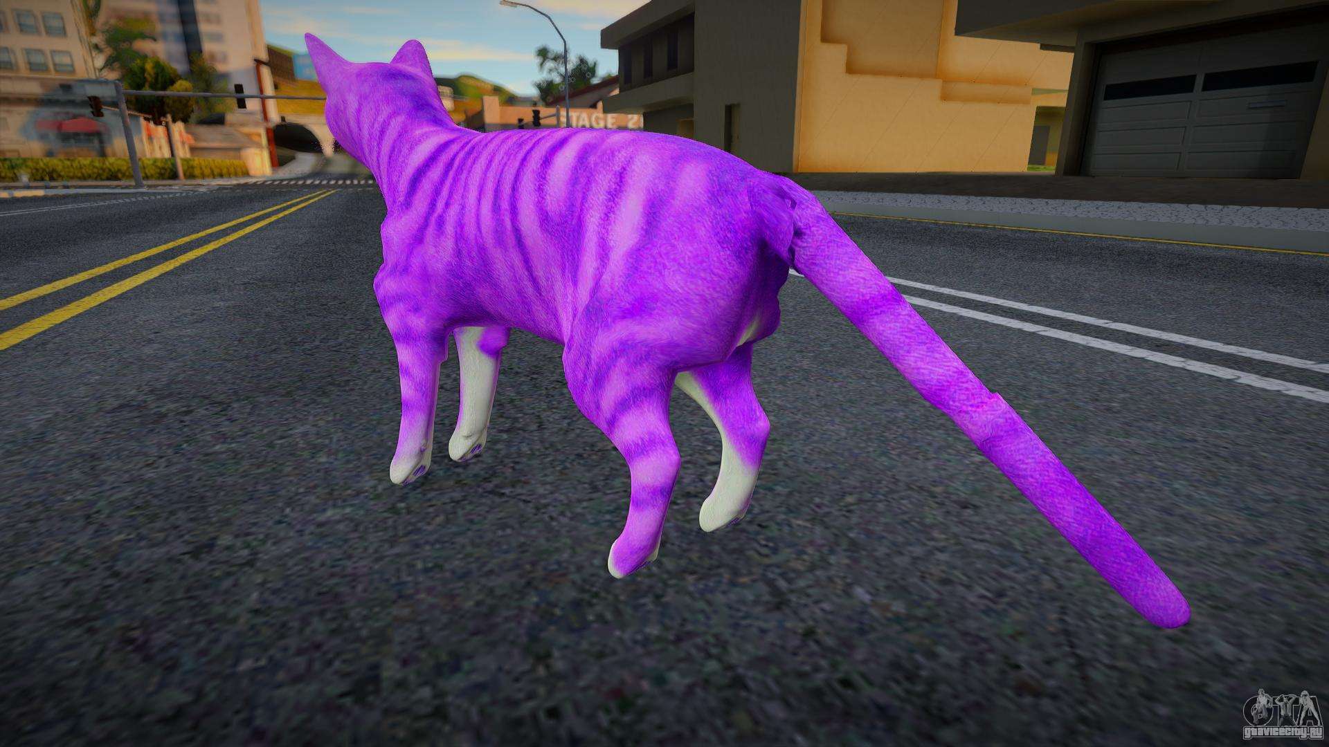 Фиолетовый кот