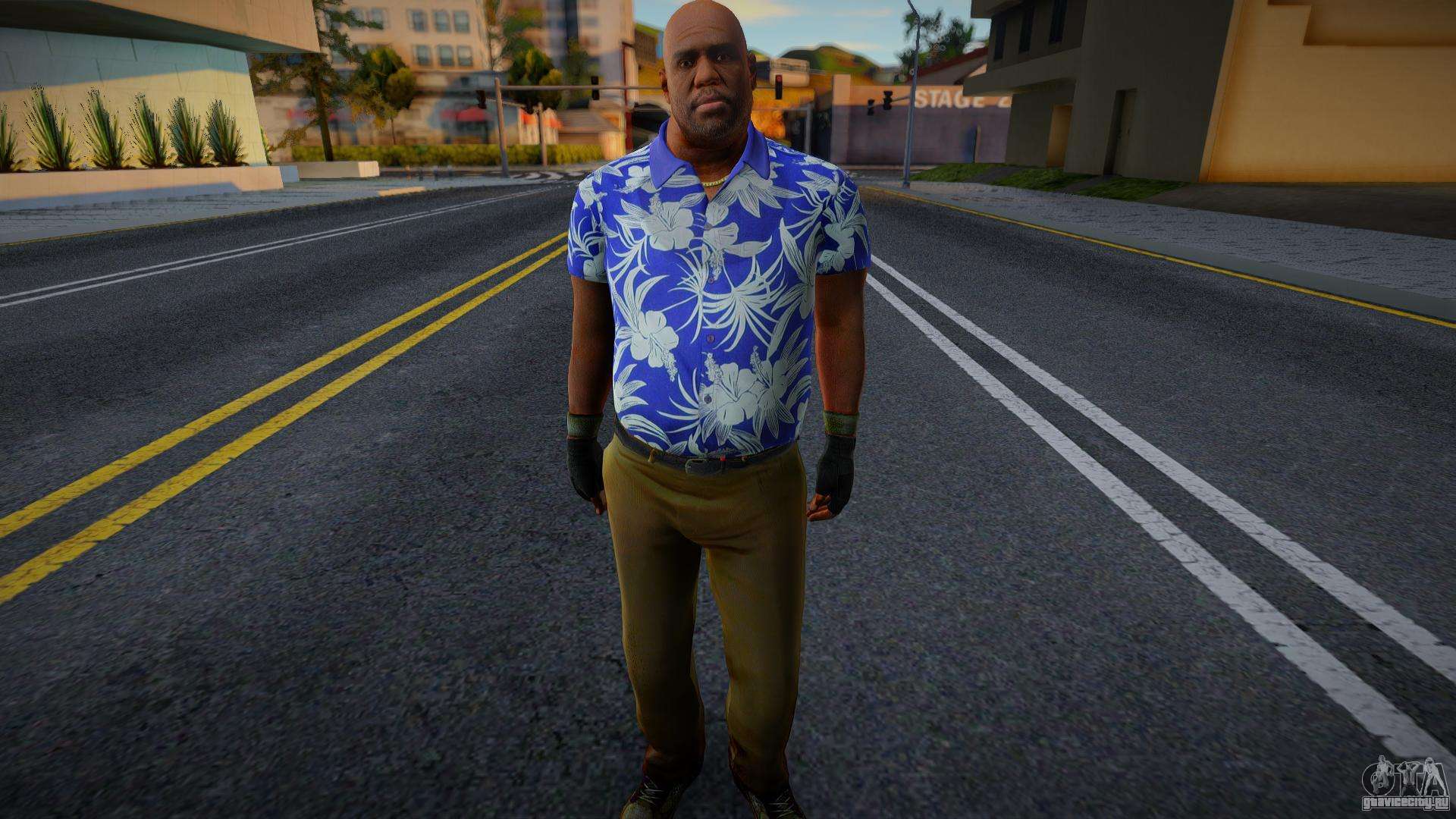 гавайская рубашка из гта 5 фото 22