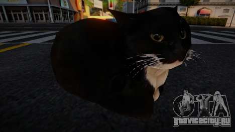 Maxwell The Cat Dingus для GTA San Andreas