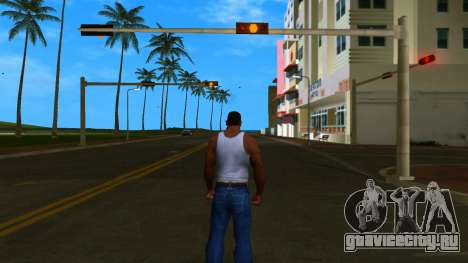 Carl Johnson (Muscle) v1.0 для GTA Vice City