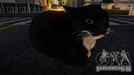 Maxwell The Cat Dingus для GTA San Andreas