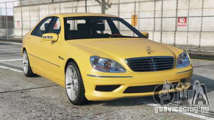 Mercedes-Benz S 55 AMG (W220) Meat Brown [Replace] для GTA 5