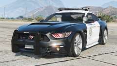 Ford Mustang GT Speed Enforcement & Pursuit для GTA 5