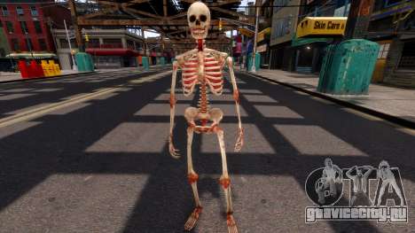 Скелет для GTA 4