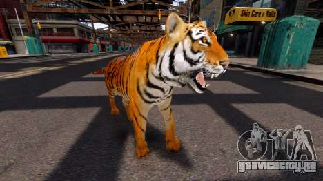 Тигр для GTA 4