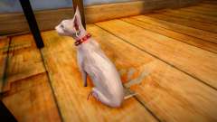 Кошка для GTA San Andreas