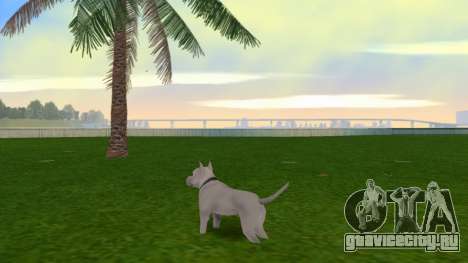 Pittbul Dog Mod для GTA Vice City