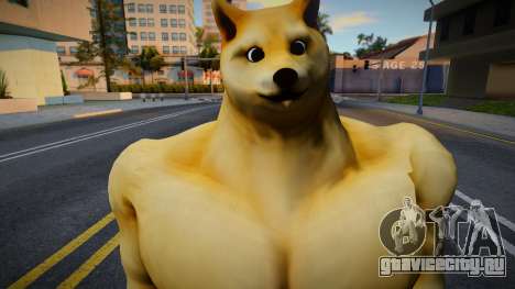 Buff Doge (Perro Doge musculoso) для GTA San Andreas