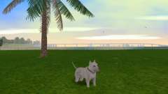 Pittbul Dog Mod для GTA Vice City