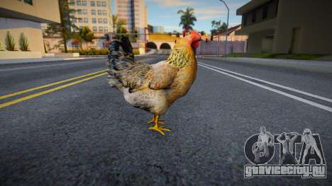 Chicken v6 для GTA San Andreas
