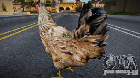 Chicken v7 для GTA San Andreas