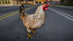 Chicken v7 для GTA San Andreas
