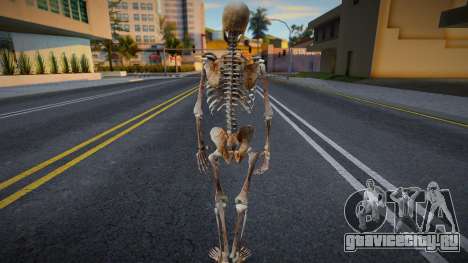 Evil Skeleton Skin для GTA San Andreas
