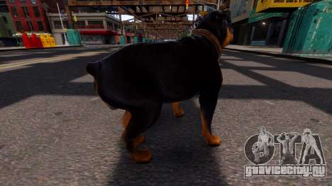 Dog Chop GTA V для GTA 4