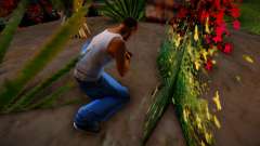 Сорвать цветы в Глен Парке для GTA San Andreas