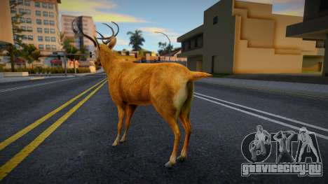 Deer ANZ для GTA San Andreas