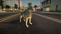 Серый волк для GTA San Andreas