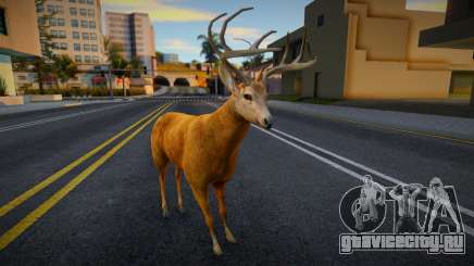 Deer ANZ для GTA San Andreas